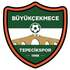 Büyükçekmece Tepecikspor Logo