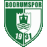 Bodrum FK Logo