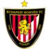 Budapest Honved Logo