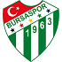 Bursaspor Logo