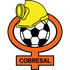 Cobresal Logo