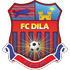 Dila Gori Logo