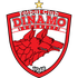 Dinamo Bucarest Logo