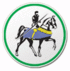 El Kanemi Warriors Logo