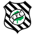 Figueirense Logo