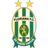 Home Team Logo