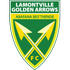 Golden Arrows Logo