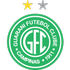 Guarani FC Logo