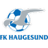 Haugesund Logo