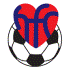 Away Team Logo