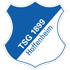 Hoffenheim Logo