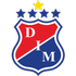 Home Team Logo