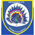 Medeama Logo