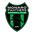 Monaro Panthers Logo