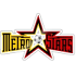 NE MetroStars Logo