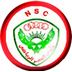 Nasr Cairo Logo