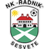 Radnik Sesvete Logo