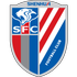 Shanghai Shenhua Logo