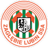 Zaglebie Lubin Logo