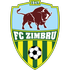 Zimbru Logo